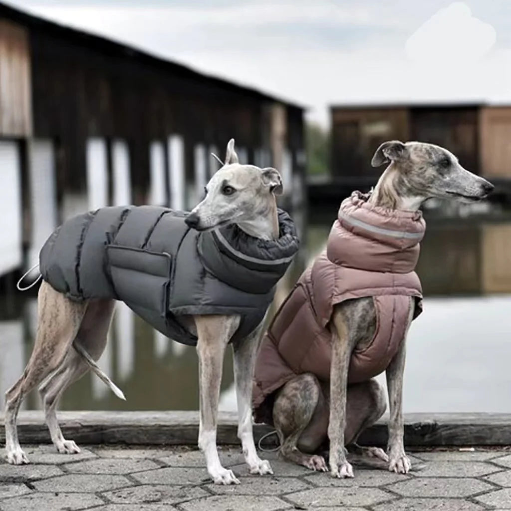 Cozy Canine Thermal Vest