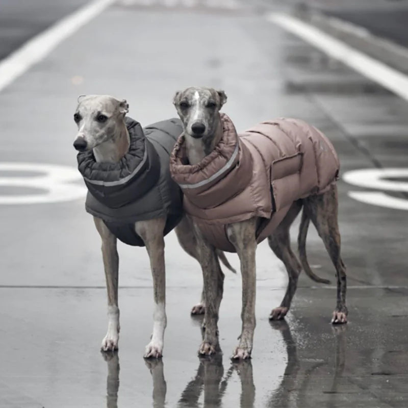 Cozy Canine Thermal Vest