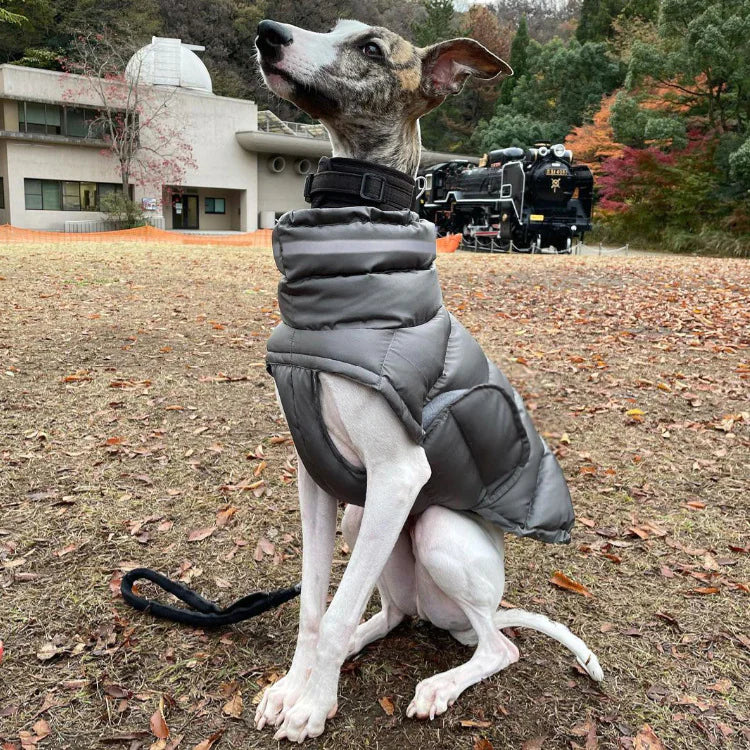 Cozy Canine Thermal Vest
