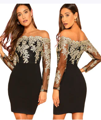 Water-Soluble Lace Long Sleeve Tube Top Dress